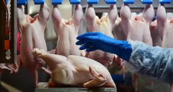 В поставляемой из Казахстана в Россию курице нашли смертельно опасную бактерию. Она поражает репродуктивную и нервную системы