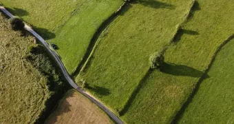 Право землепользования наследуется по завещанию: новое решение Конституционного суда