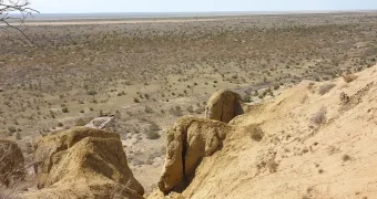 Оазис на дне Арала хотят создать ученые нескольких стран