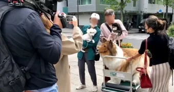 Японский блогер открыл зоопарк, где люди сами становятся животными