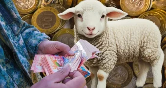 На той и согым: сколько стоит баран в городах Казахстана