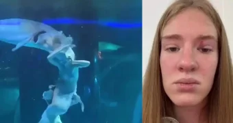 Шокирующее видео: осётр атаковал российскую синхронистку во время шоу в Китае