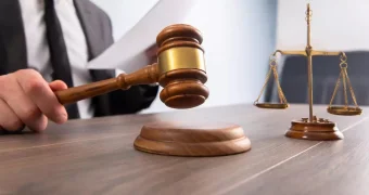 Казахстанцы платили по 1 млн тенге за работу по сбору урожая в Великобритании