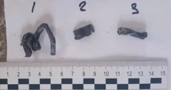 Появились фото посторонних объектов, извлеченных из самолета AZAL