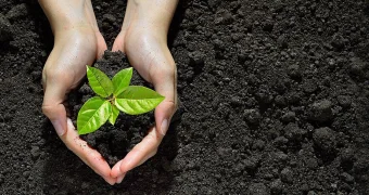 Не досадили сотни тысяч деревьев в Мангистау: в акимате ответили на обвинения депутата