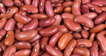 Какие продукты повышают риск рака, рассказали онкологи