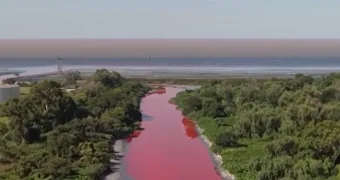 Кроваво-красная река под Буэнос-Айресом встревожила местных жителей