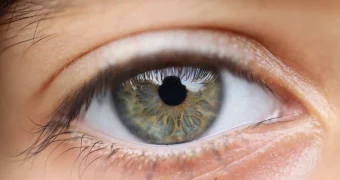 16-летняя школьница родила от отчима в Таразе