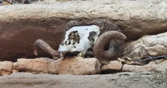 Жуткая пещера Караган Босага в Мангистау: впечатления жительницы Актау