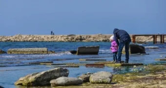 Пора вводить режим ЧС на Каспии? Ученые требуют немедленных действий