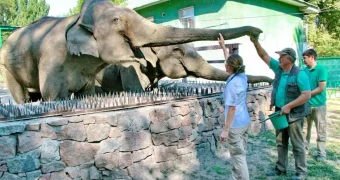 Алматинский зоопарк переедет в другой город
