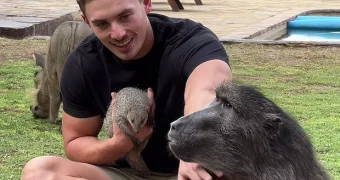 Мужчина стал жить с обезьяной и называть ее своей сестрой