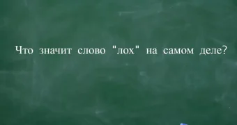 Кого раньше называли лохом? Ругаясь по-русски, помните — это не только то, что пишут на заборе