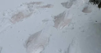 Снег с оттенком розового: жители Актау сообщают о необычном явлении