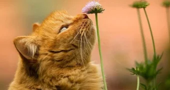 Что такое весеннее обострение и как его пережить