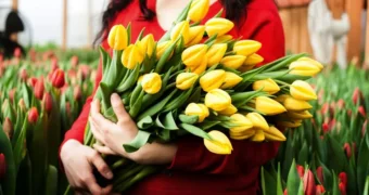 Как отдохнут казахстанцы на 8 Марта 2025 года