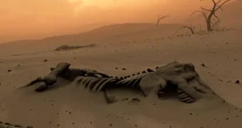 Шестое массовое вымирание на Земле: оно уже началось и набирает обороты