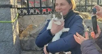Чудесное спасение кошки Муси, которую сбросили с высоты замка «Ласточкино гнездо» в Крыму