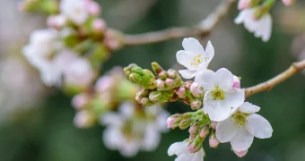 Весна близко! Какой будет погода в Мангистау в марте