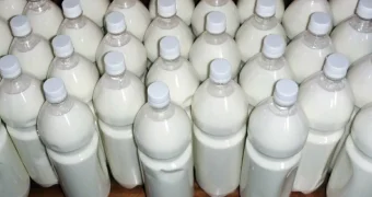 «Это все кумыс!»: чиновник объяснил запах перегара за рулем