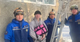 В Павлодаре спасли юношу, застрявшего на дереве при попытке помочь коту