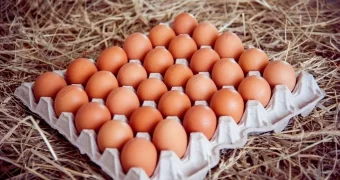 Импортные яйца исчезнут с полок магазинов Казахстана до осени