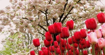 Сколько казахстанцы будут отдыхать на праздничные дни в мае