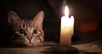 В одном из жилых массивов близ Актау весь день не будет электричества