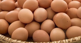Импорт яиц приостановлен: Минсельхоз ввёл полугодовой запрет