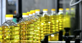 Забудьте об оливковом: кедровое масло — новый фаворит на вашей кухне