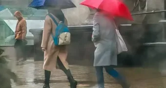 Ученые нашли естественный антидепрессант: доступен каждому
