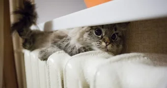 Замакимы в ответе за батареи: в Казахстане за срыв отопительного сезона - штрафы до 6 млн тенге