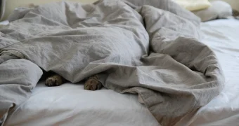 Врач объяснил, к каким проблемам приводит привычка засыпать после полуночи