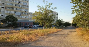 Когда озеленение — это уничтожение.