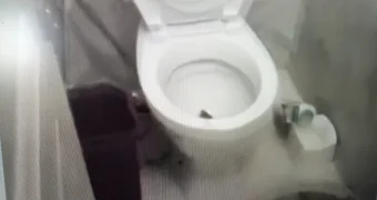 В Казахстане крысы штурмуют квартиры через унитаз (видео)