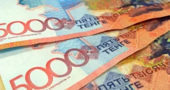 Казахстанку лишили свободы сроком на один год из-за 15 тыс. тенге