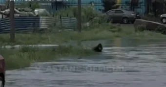 Ребенок едва не утонул в луже после ливней в Астане (видео)
