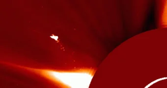 Астроном раскрыл тайну огромной огненной «птицы» над Солнцем