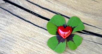 Пять имён, которые притягивают удачу