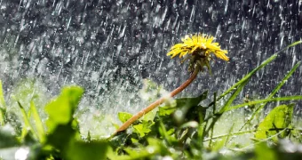 Сначала ливни и град, потом +40: синоптики предупредили казахстанцев