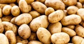 Картофель по 600 тенге в Казахстане: власти объяснили, почему это не предел