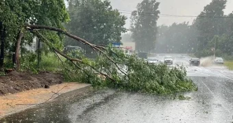 Казахстан накроют ливни, град и похолодание