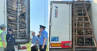 30 тонн яиц развернули на границе: Казахстан не пустил продукцию из России