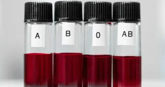 Уникальный состав: ученые назвали самую «сильную» группу крови