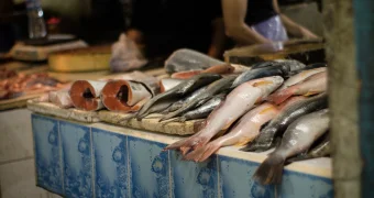 «Такого даже в Москве не найти»: российский турист удивился ассортименту на рынке в Казахстане