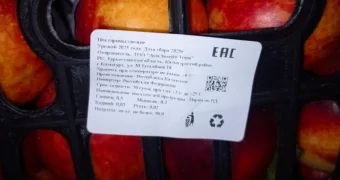 Из Казахстана в Омск пытались завезти нектарины с ртутью и мышьяком