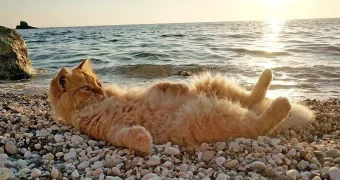 Испепеляющий июль в Казахстане: жара до +46 и грозы с градом