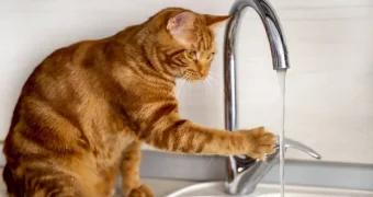 Мангистау полностью обеспечен водоснабжением – Правительство РК