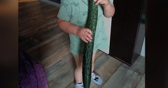 Сибирячка вырастила огурец размером с сына