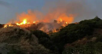 В Турции мужчина хотел уничтожить клеща, а спалил 12 гектаров леса и сельхозугодий